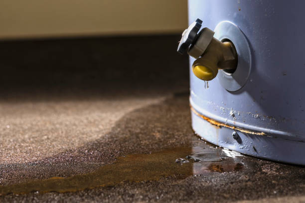 Best Emergency water damage restoration  in Olive Hill, KY